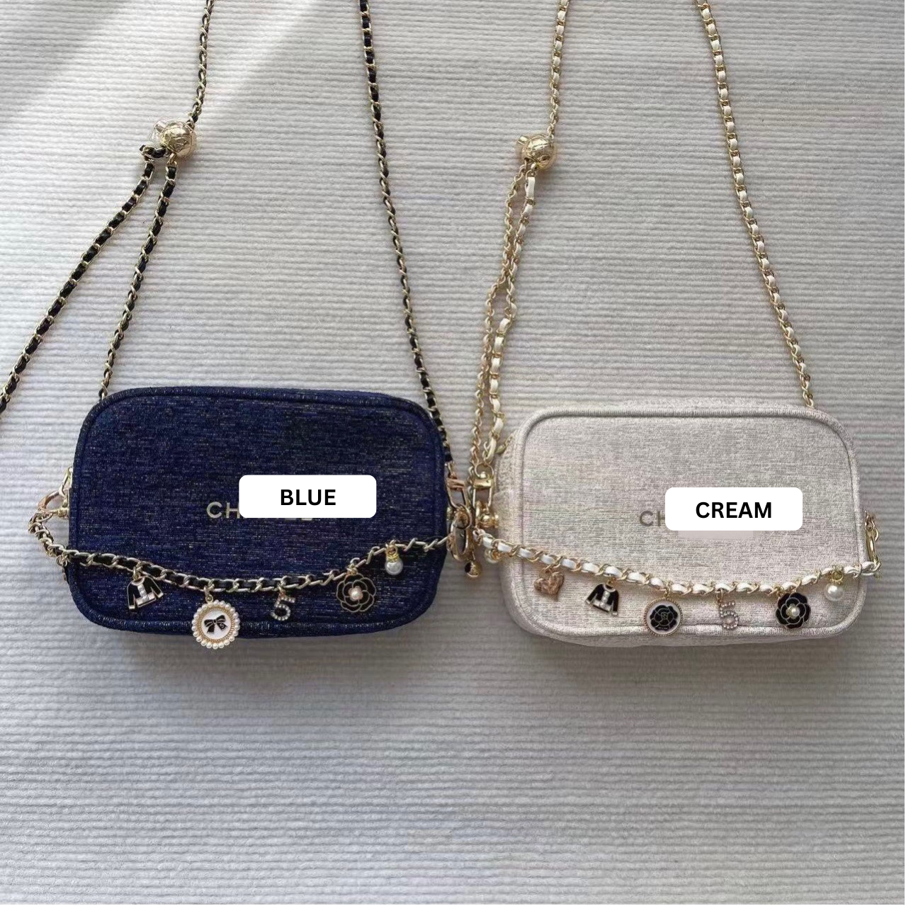 CHANEL Vanity Bag (Video Included)