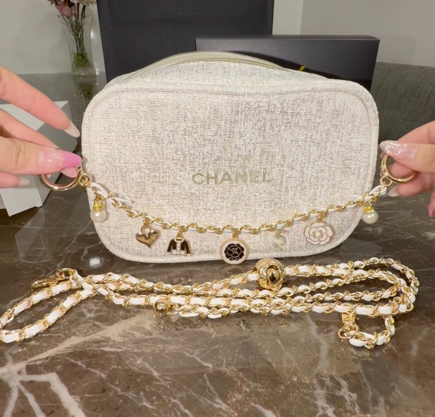CHANEL Vanity Bag (Video Included)