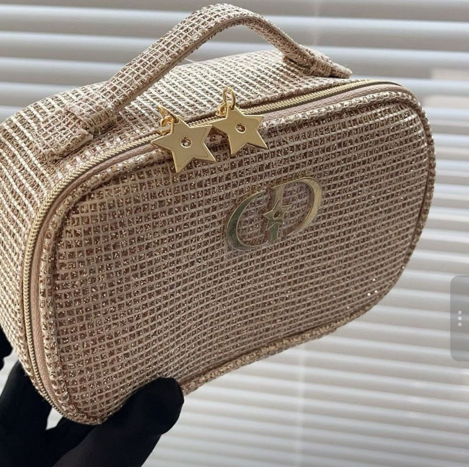 CHRISTIAN DIOR Vanity Bag (Video Included)
