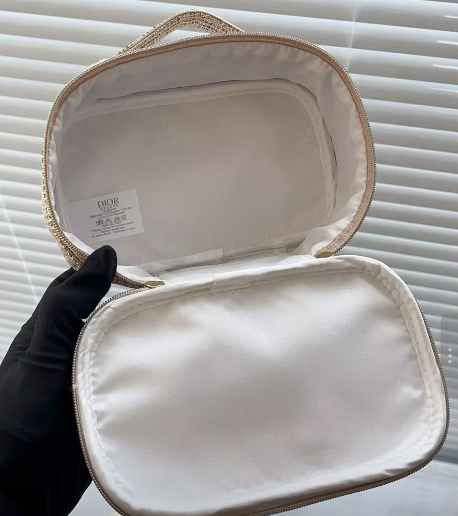 CHRISTIAN DIOR Vanity Bag (Video Included)