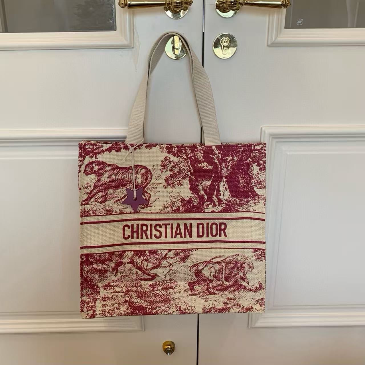 CHRISTIAN DIOR Vanity CarrierToile de Jouy Print