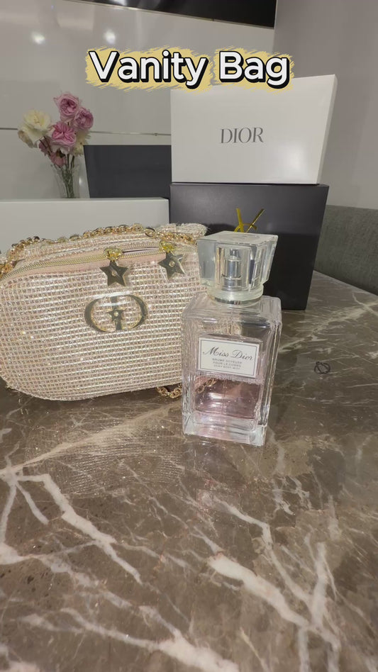 CHRISTIAN DIOR Vanity Bag (Video Included)